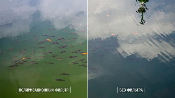 CPL Поляризационный фильтр 77 мм на объектив камеры Саnоn Sony Nikоn FujiFilm